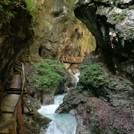 Das Beerenhaus 公寓 布利克森塔勒